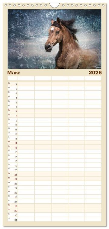 Produktbild: Familienplaner 2026 - Pferde zum Tr&auml;umen mit 5 Spalten (Wandkalender, 21 x 45 cm) CALVENDO
