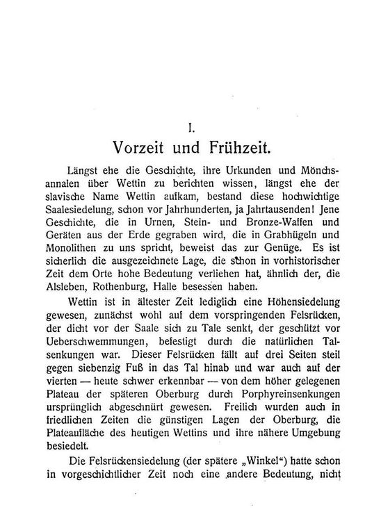 Produktbild: Die Burg Wettin und die Wettiner