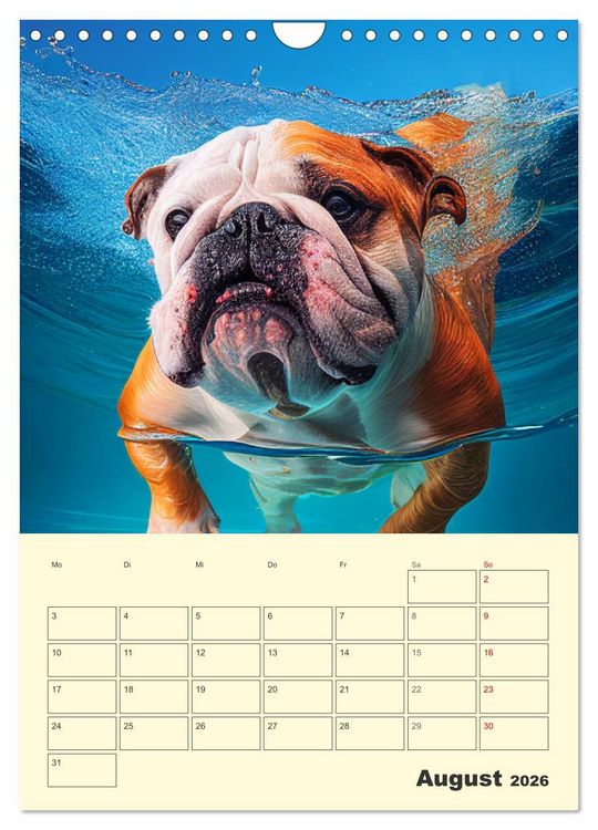 Produktbild: English Bulldogs. Fr&ouml;hliche Dickk&ouml;pfe mit Charakter (Wandkalender 2026 DIN A4 hoch), CALVENDO Monatskalender