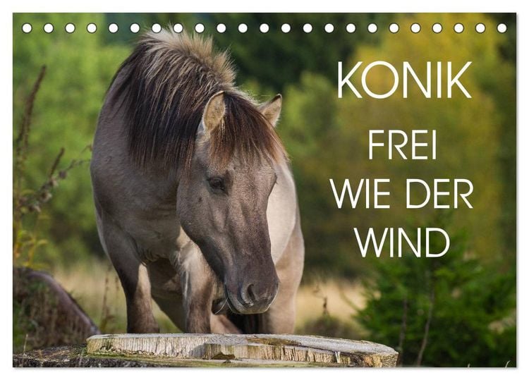 Produktbild: Konik - Frei geboren (Tischkalender 2026 DIN A5 quer), CALVENDO Monatskalender
