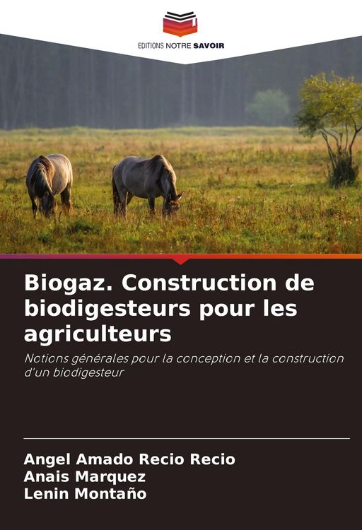 Produktbild: Biogaz. Construction de biodigesteurs pour les agriculteurs