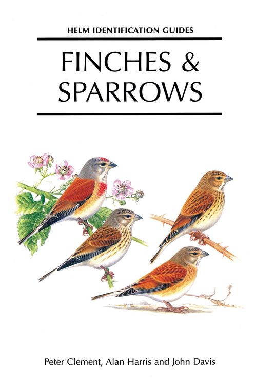 Produktbild: Finches and Sparrows