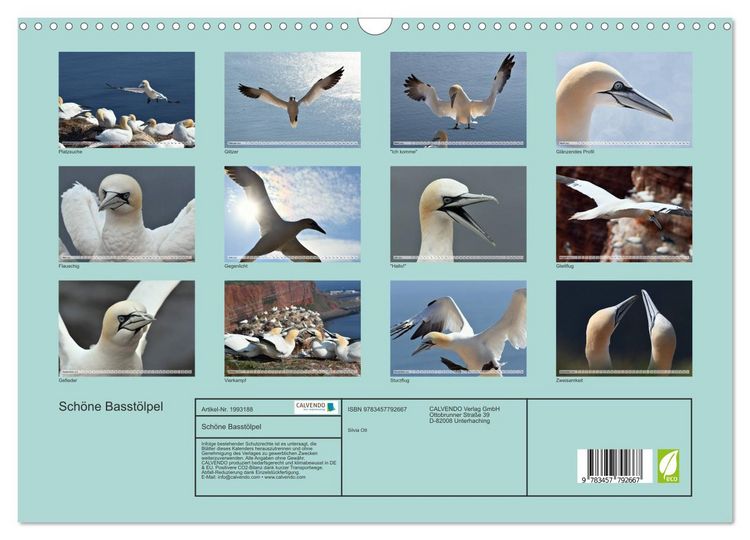 Produktbild: Sch&ouml;ne Basst&ouml;lpel (Wandkalender 2026 DIN A3 quer), CALVENDO Monatskalender