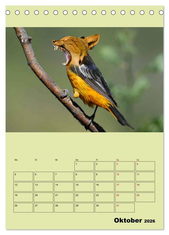 Produktbild: Seltsame Tiere - da stimmt doch was nicht... (Tischkalender 2026 DIN A5 hoch), CALVENDO Monatskalender
