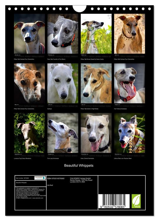 Produktbild: Beautiful Whippets (Wall Calendar 2026 DIN A4 portrait), CALVENDO 12 Month Wall Calendar