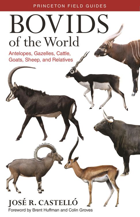 Produktbild: Bovids of the World