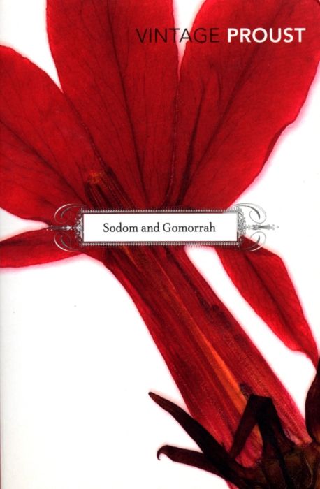 Produktbild: In Search of Lost Time, Vol 4