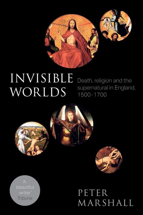 Produktbild: Invisible Worlds