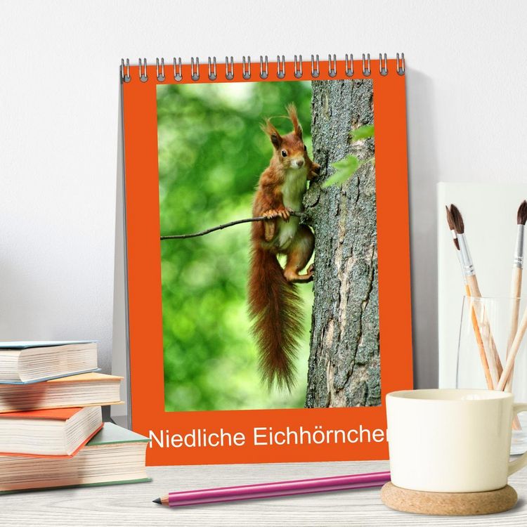 Produktbild: Niedliche Eichh&ouml;rnchen (Tischkalender 2026 DIN A5 hoch), CALVENDO Monatskalender