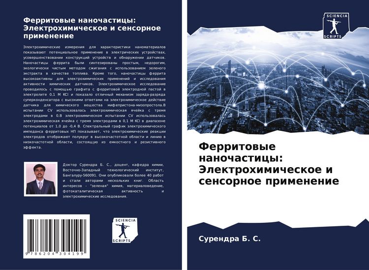 Produktbild: Ferritowye nanochasticy: Jelektrohimicheskoe i sensornoe primenenie