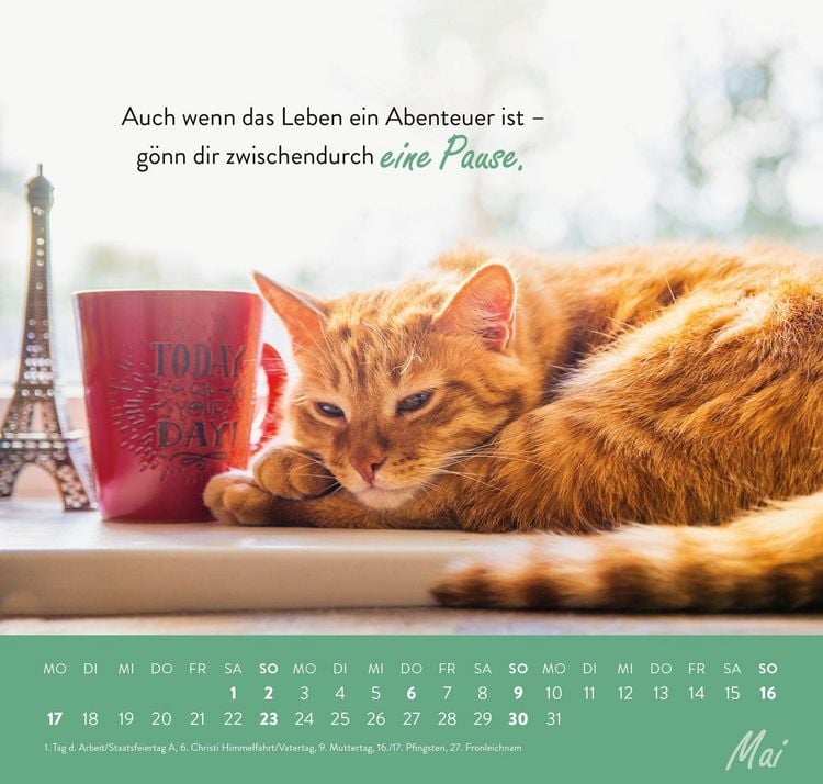 Produktbild: Wandkalender 2027: Einfach mal abh&auml;ngen