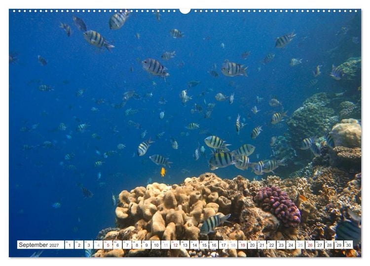 Produktbild: &Auml;gypten - Nordafrika (Wandkalender 2027 DIN A2 quer), CALVENDO Monatskalender
