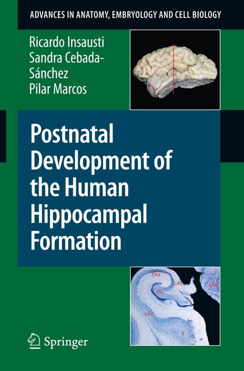 Produktbild: Postnatal Development of the Human Hippocampal Formation