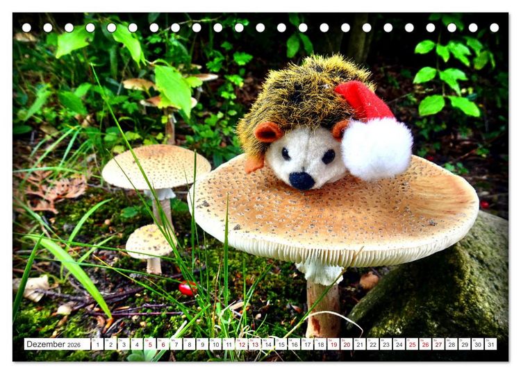 Produktbild: Pilz-Tiere (Tischkalender 2026 DIN A5 quer), CALVENDO Monatskalender