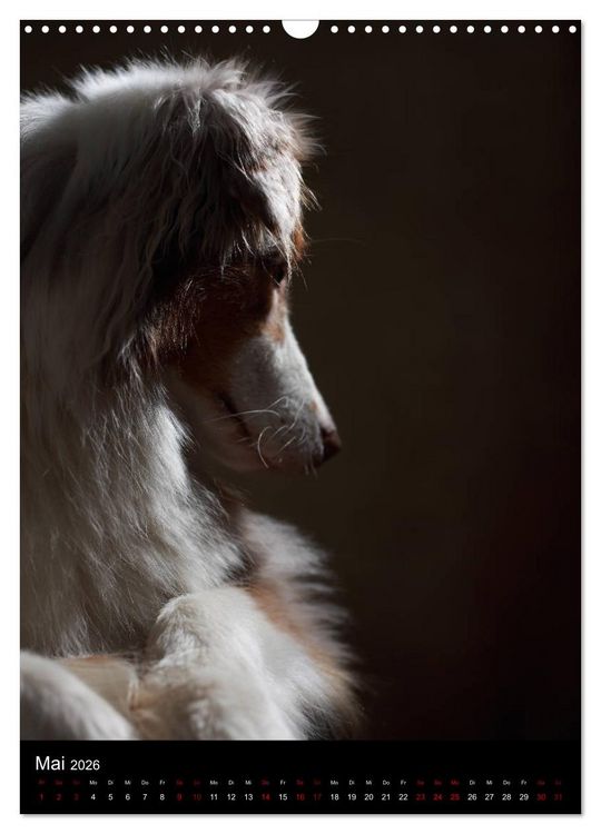 Produktbild: Stille Momente - Die sensible Seite der Hunde (Wandkalender 2026 DIN A3 hoch), CALVENDO Monatskalender