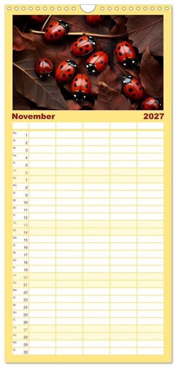 Produktbild: Familienplaner 2027 - Die Magie der Masse mit 5 Spalten (Wandkalender, 21 x 45 cm) CALVENDO