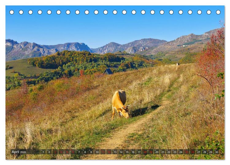 Produktbild: TransApuseni - Sch&ouml;nste Panoramastra&szlig;e in Siebenb&uuml;rgen (Tischkalender 2026 DIN A5 quer), CALVENDO Monatskalender