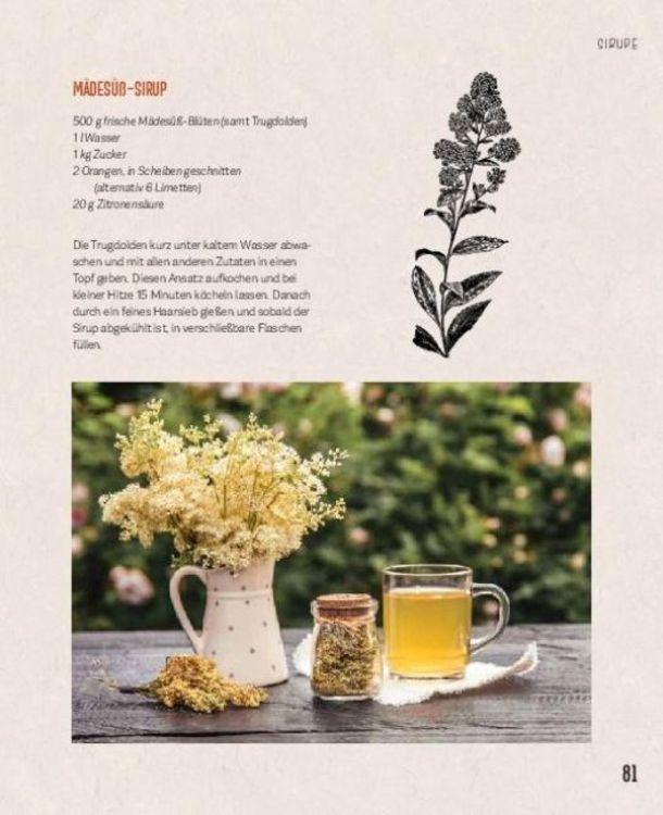 Produktbild: Essbare Sch&auml;tze aus der Natur: Erkennen &ndash; Sammeln &ndash; Zubereiten