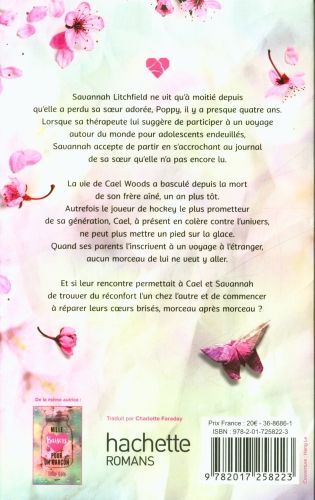 Produktbild: Mille morceaux de coeur bris&eacute;