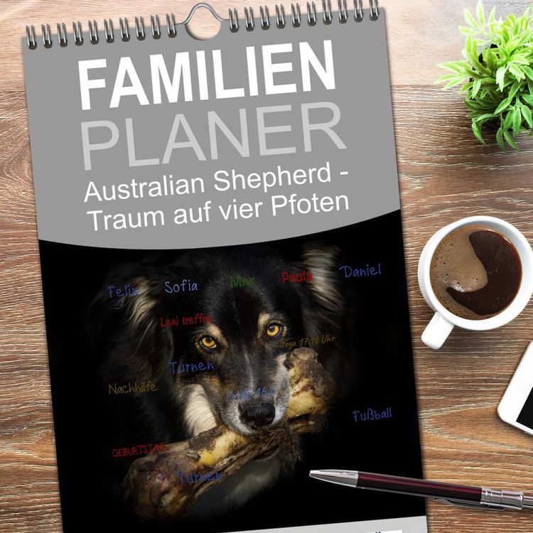 Produktbild: Familienplaner 2026 - Australian Shepherd - Traum auf vier Pfoten mit 5 Spalten (Wandkalender, 21 x 45 cm) CALVENDO