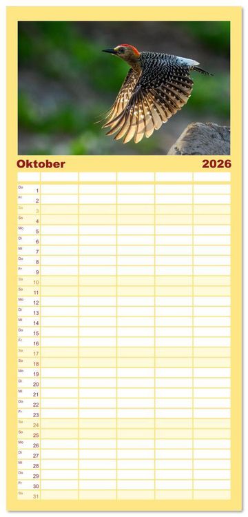 Produktbild: Familienplaner 2026 - Tropische V&ouml;gel Costa Ricas mit 5 Spalten (Wandkalender, 21 x 45 cm) CALVENDO