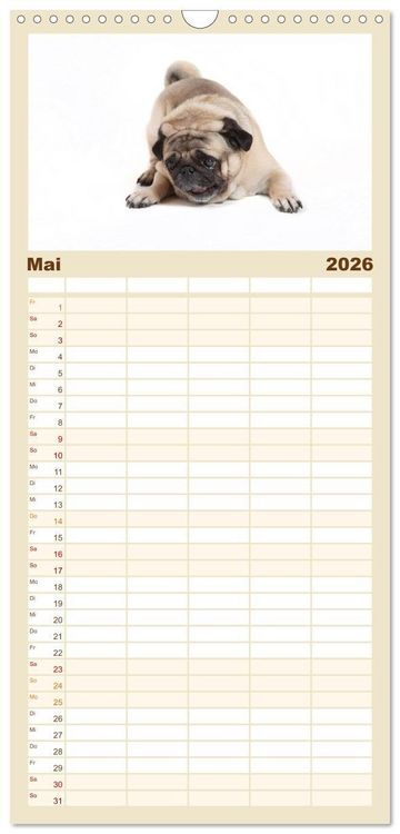 Produktbild: Familienplaner 2026 - Mops - unwiderstehlich und charmant mit 5 Spalten (Wandkalender, 21 x 45 cm) CALVENDO
