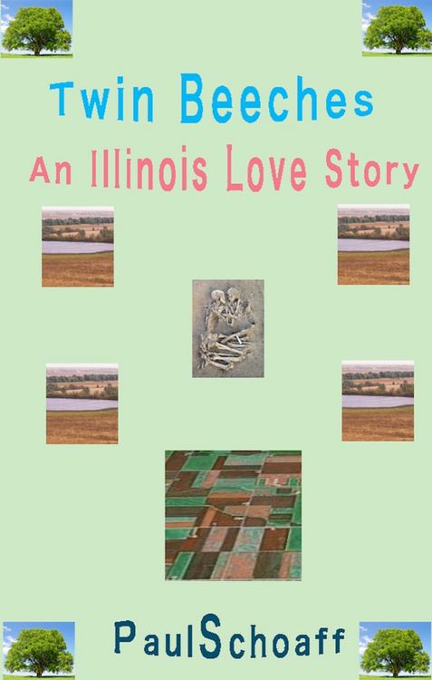 Produktbild: Twin Beeches -- An Illinois Love Story