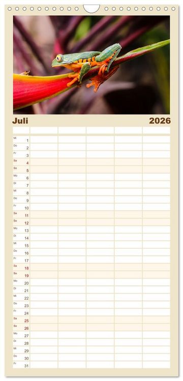 Produktbild: Familienplaner 2026 - Fr&ouml;sche - Die wundersch&ouml;ne Welt der bunten H&uuml;pfer. mit 5 Spalten (Wandkalender, 21 x 45 cm) CALVENDO