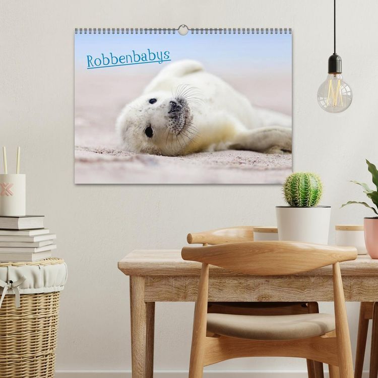Produktbild: Robbenbabys (Wandkalender 2027 DIN A3 quer), CALVENDO Monatskalender