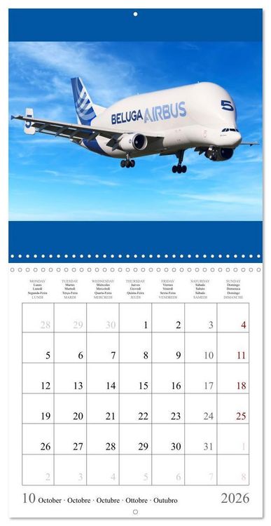 Produktbild: Gayde, F: Airplanes in the blue sky (Wall Calendar 2026 12 &times;