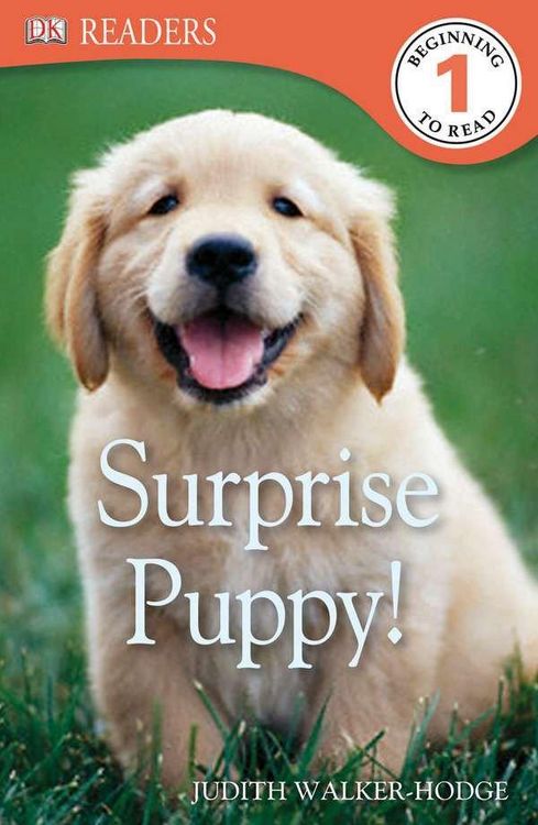 Produktbild: DK Readers L1: Surprise Puppy