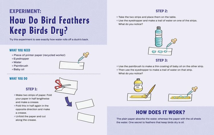 Produktbild: Turn This Book Into a Bird Feeder!