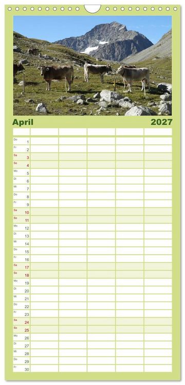 Produktbild: Familienplaner 2027 - K&uuml;he mit H&ouml;rnern mit 5 Spalten (Wandkalender, 21 x 45 cm) CALVENDO
