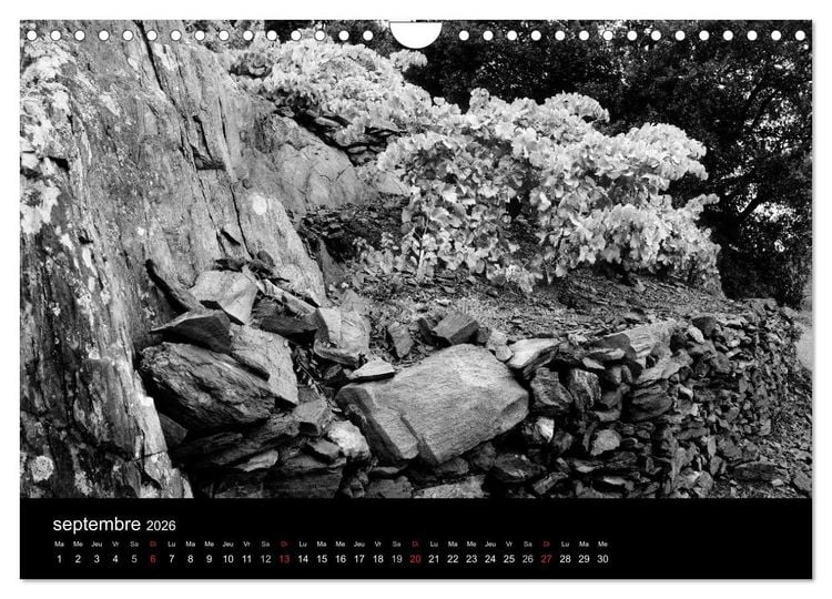 Produktbild: VIGNES DU SUD terroirs d'AOC (Calendrier mural 2026 DIN A4 vertical), CALVENDO calendrier mensuel