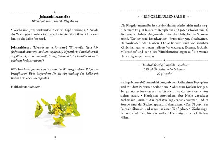 Produktbild: Das große kleine Buch: Heilsalben aus Wald und Wiese