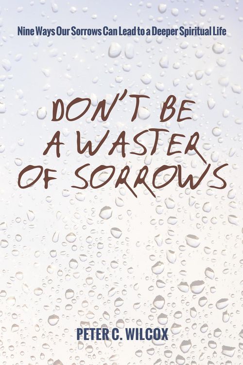 Produktbild: Don't Be a Waster of Sorrows
