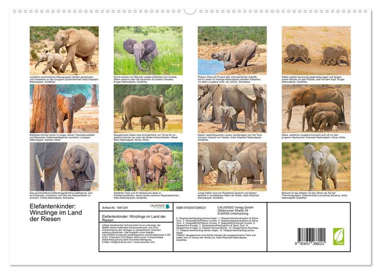 Produktbild: Elefantenkinder: Winzlinge im Land der Riesen (hochwertiger Premium Wandkalender 2026 DIN A2 quer), Kunstdruck in Hochglanz