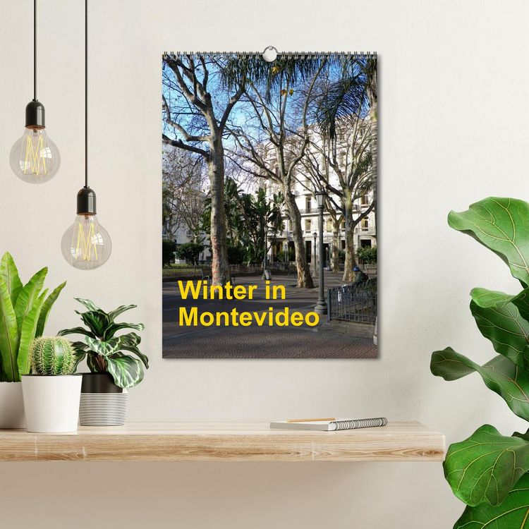 Produktbild: Winter in Montevideo (Wandkalender 2026 DIN A3 hoch), CALVENDO Monatskalender