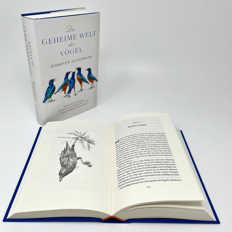 Produktbild: Die geheime Welt der V&ouml;gel