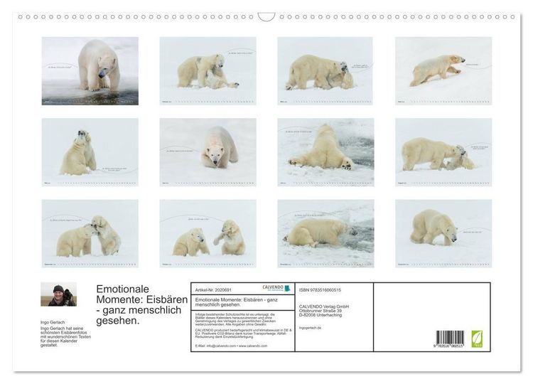 Produktbild: Emotionale Momente: Eisb&auml;ren - ganz menschlich gesehen. (Wandkalender 2026 DIN A2 quer), CALVENDO Monatskalender