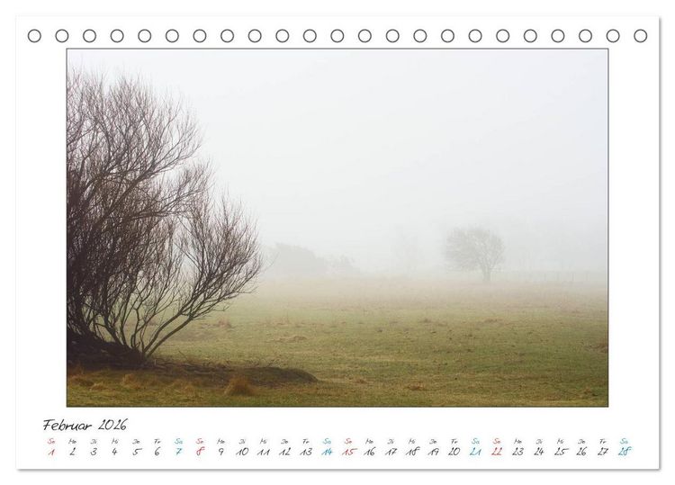 Produktbild: Amrum - Farben einer Insel (Tischkalender 2026 DIN A5 quer), CALVENDO Monatskalender