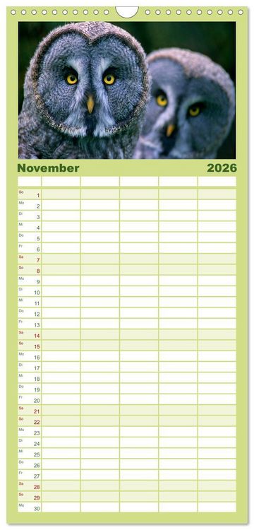 Produktbild: Familienplaner 2026 - Tiere des Waldes mit 5 Spalten (Wandkalender, 21 x 45 cm) CALVENDO