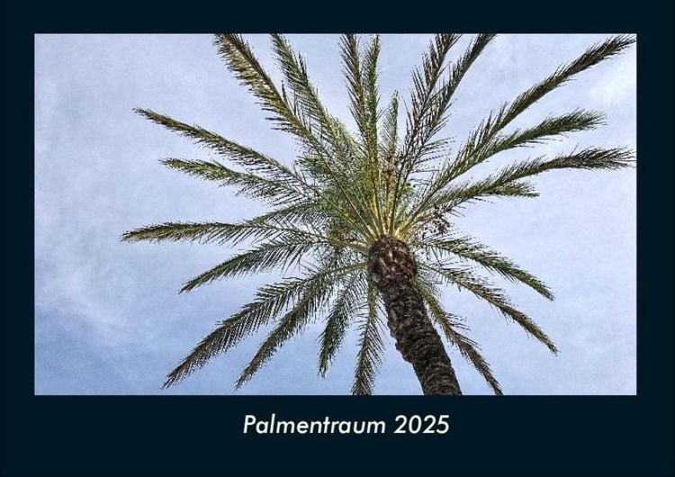 Produktbild: Palmentraum 2025 Fotokalender DIN A4