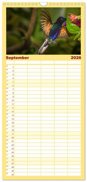 Produktbild: Familienplaner 2026 - Kolibris; Anmut, Sch&ouml;nheit, Farben mit 5 Spalten (Wandkalender, 21 x 45 cm) CALVENDO
