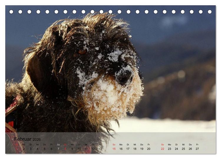 Produktbild: Liebenswerte Clowns (Tischkalender 2026 DIN A5 quer), CALVENDO Monatskalender