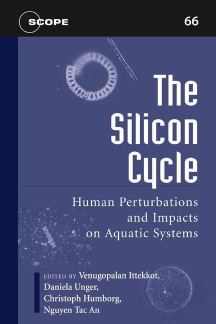 Produktbild: Silicon Cycle