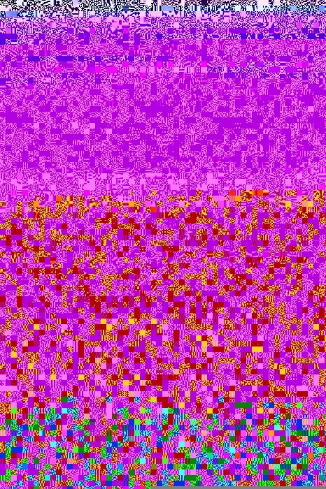 Produktbild: The Double-crested Cormorant