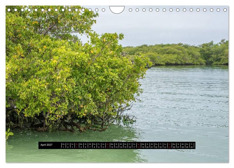 Produktbild: Galapagos- Landschaften (Wandkalender 2027 DIN A4 quer), CALVENDO Monatskalender