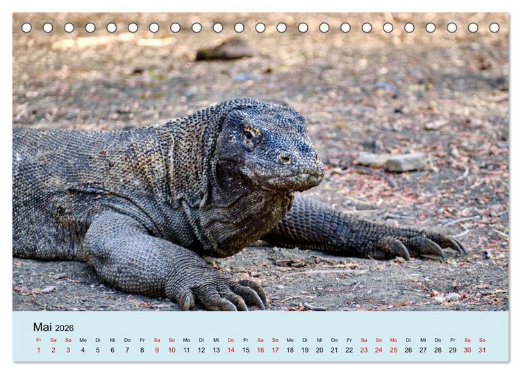 Produktbild: Indonesien - Die kleinen Sundainseln (Tischkalender 2026 DIN A5 quer), CALVENDO Monatskalender