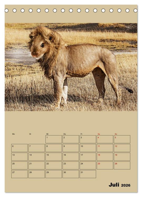 Produktbild: Seltsame Tiere - da stimmt doch was nicht... (Tischkalender 2026 DIN A5 hoch), CALVENDO Monatskalender